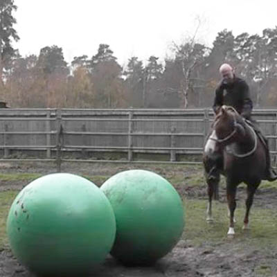 giant horse ball